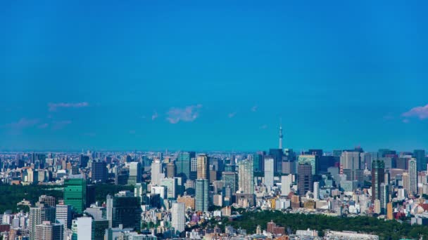 Timelapse miejskiego krajobrazu na Aoyama teren za Tokio niebo drzewo wysoki kąt — Wideo stockowe