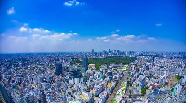 Uma paisagem urbana panorâmica na cidade urbana de Tóquio ângulo alto — Fotografia de Stock