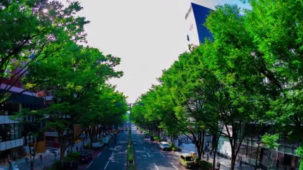 Tokyo 'daki Omotesando Bulvarı' ndaki şehir manzarasının zaman çizelgesi. — Stok video