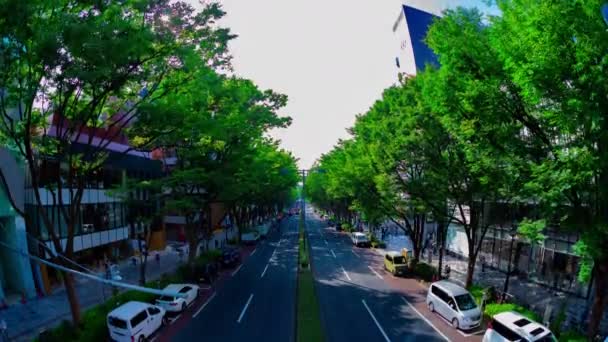 Časová osa městského prostředí na Omotesandské avenue v Tokijském rybím oku — Stock video