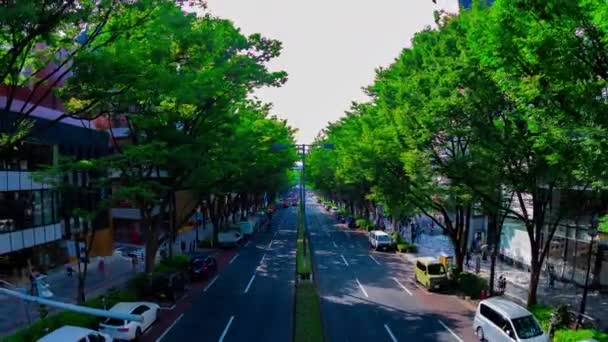 A tokiói Omotesando sugárút városképének időzónája meglőtte Zoomot. — Stock videók