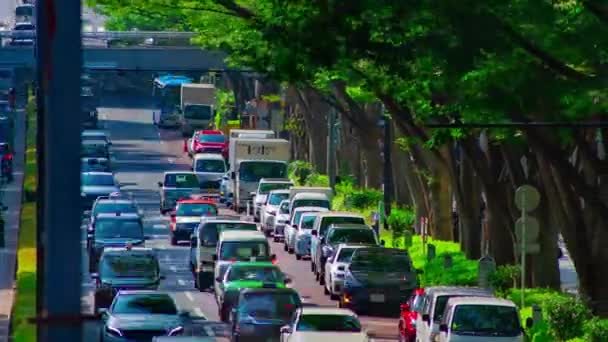 A timelapse of cityscape at Omotesando avenue in Tokyo long shot panning — Stock Video