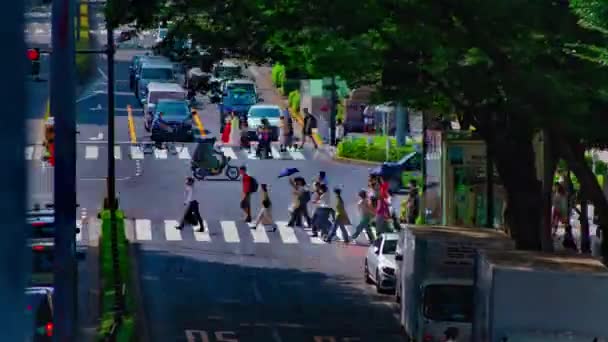 Tokyo 'daki Omotesando Bulvarı' ndaki şehir manzarasının zamanlaması — Stok video