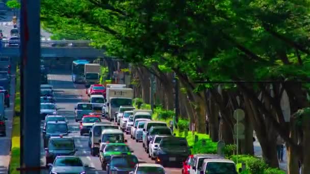 Un timelapse de paisaje urbano en la avenida Omotesando en Tokio zoom de tiro largo — Vídeo de stock