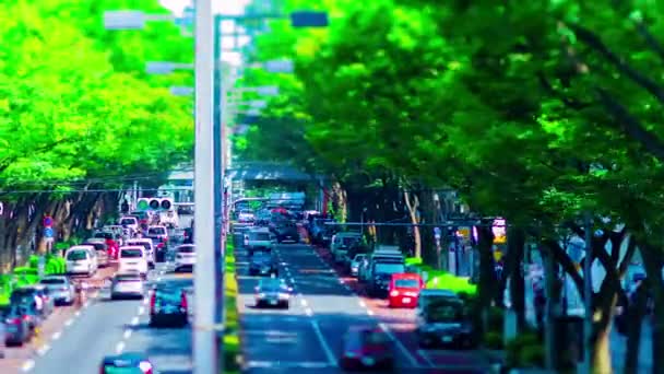Uma cronologia da paisagem urbana em miniatura na avenida Omotesando em Tóquio tiltshift panning — Vídeo de Stock