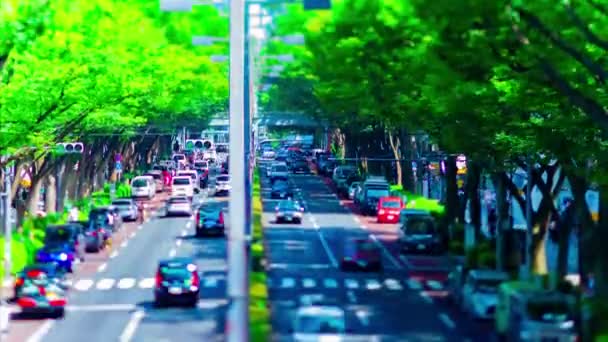 東京・表参道の小さな街並みのタイムラプス傾き — ストック動画