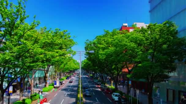 Временной пейзаж города на проспекте Омотесандо в Токио, дневное панорамирование — стоковое видео