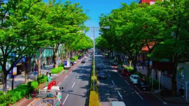 Tokyo 'daki Omotesando Bulvarı' ndaki şehir manzarasının zaman çizelgesi.