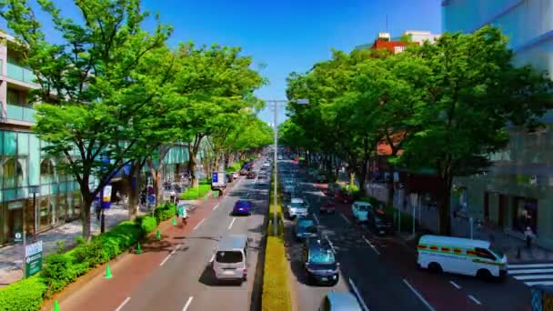 Tokyo 'daki Omotesando Bulvarı' nda gündüz vakti çekilmiş bir şehir manzarası. — Stok video