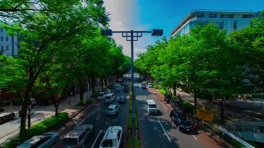 Tokyo 'daki Omotesando Bulvarı' nda gündüz vakti çekilmiş bir şehir manzarası.