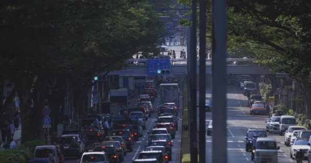 Una calle de la ciudad en la avenida Omotesando en Tokio tiro largo — Vídeo de stock