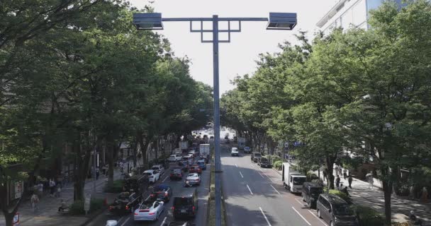 Tokyo 'da Omotesando Bulvarı' nda bir şehir caddesi. — Stok video