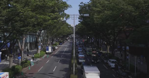 Miejska ulica na Omotesando aleja w Tokio szeroka strzał — Wideo stockowe