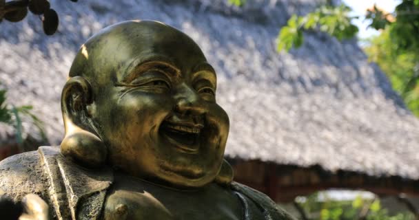 Eine Buddhismus-Statue im Suoi Tien Park in Ho Chi Minh Vietnam — Stockvideo