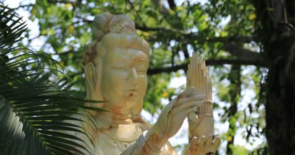 Bogini Miłosierdzia w Suoi Tien parku w Ho Chi Minh Wietnam — Wideo stockowe