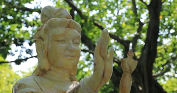 Μια θεά του Ελέους στο πάρκο Suoi Tien στο Ho Chi Minh Βιετνάμ — Αρχείο Βίντεο