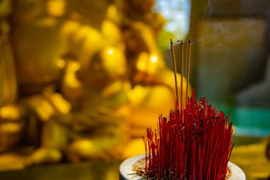 Ho Chi Minh Vietnam 'daki Suoi Tien parkında tütsü çubuğu.