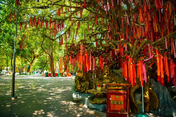 Egy jósnő a Suoi Tien parkban Ho Chi Minh Vietnamban — Stock Fotó