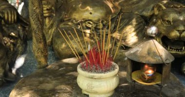 Ho Chi Minh Vietnam 'daki Suoi Tien parkında bir tütsü çubuğu.