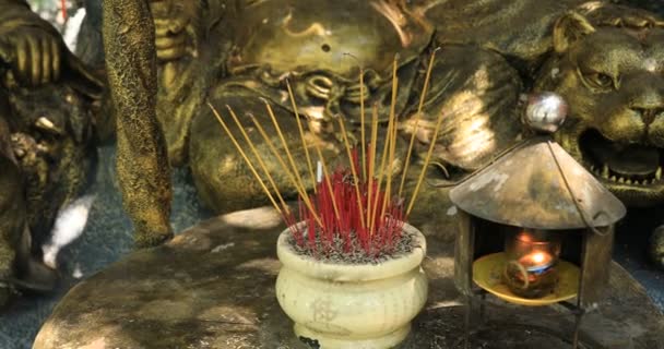 Uma vara de incenso no parque Suoi Tien em Ho Chi Minh Vietnã handheld — Vídeo de Stock