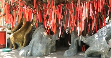 Ho Chi Minh Vietnam 'daki Suoi Tien parkında bir kahin.