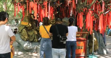 Ho Chi Minh Vietnam 'daki Suoi Tien parkında bir kahin.
