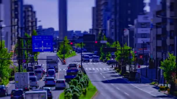 Un timelapse di paesaggio urbano in miniatura in viale Yamanote a Tokyo tiltshift panning — Video Stock