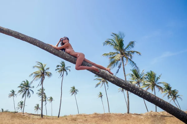 Young sexy woman in a pink bathing suit bikini sitting lying down on palm tree on the beach sky background.fitness model posing high-fashion grace linen advertisement.summer vacation trip freedom — Stock Photo, Image