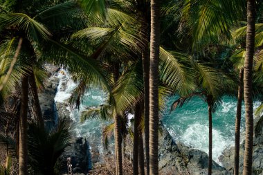 Cennet Goa copyspase Cola Colva plaj