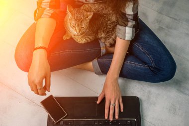 Bir kedi, bir kız ve bir laptop. Konsept, fikir - çevrimiçi eğitim, serbest meslek.