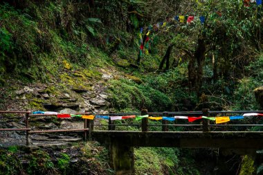 Himalaya dağlarının manzarası çok güzel. Karla kaplı dağ tepeleri ve çok renkli Tibet dua bayrakları. Dağlarda yürüyüş konsepti