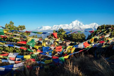 Himalaya dağlarının manzarası çok güzel. Karla kaplı dağ tepeleri ve çok renkli Tibet dua bayrakları. Dağlarda yürüyüş konsepti