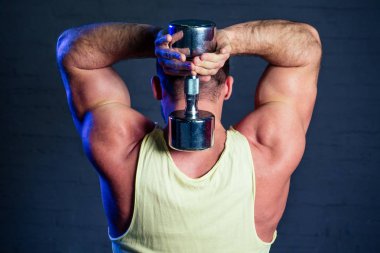 Genç ve güzel sporcu vücut geliştirme sporcusu spor salonunun arka manzarasında dambılların kasları için egzersiz yapıyor.