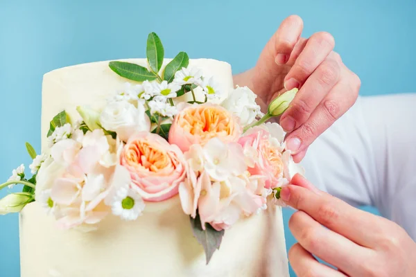 confectioner pastry-cook woman s hand decorate appetizing creamy white two-tiered wedding cake with fresh flowers in studio on a blue background