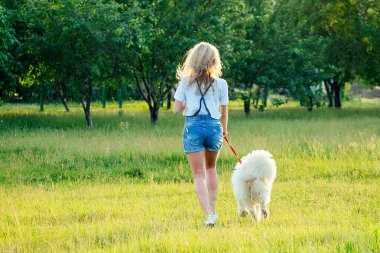 Güzel kıvırcık saçlı, gülümseyen, kot şortlu, mutlu bir kadın yaz parkında günbatımı ışınları tarlasında beyaz tüylü, sevimli bir köpeği oynuyor. evcil hayvan ve ev sahibi