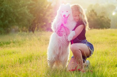 Güzel ve çekici, kıvırcık saçlı, kot şortlu, gülümseyen dişli kadın camda oturuyor ve yaz parkındaki güneş ışığı tarlası arka planında beyaz tüylü, sevimli bir köpeğe sarılıyor.