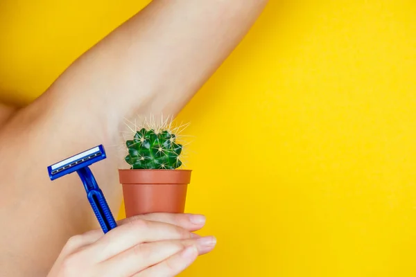 Una mujer sosteniendo un cactus verde en una olla marrón y una navaja cerca de las axilas. el concepto de depilación, depilación y eliminación de vello no deseado en el cuerpo — Foto de Stock