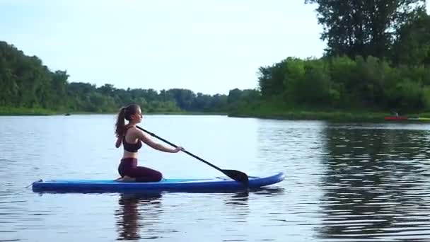 Mulher empurrando e puxando o remo através da superfície de água brilhante e propelindo paddleboard na manhã ensolarada — Vídeo de Stock