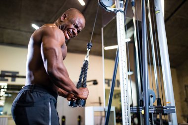 Melez koç yeni spor salonunda arka planda ağırlık kaldırıyor.