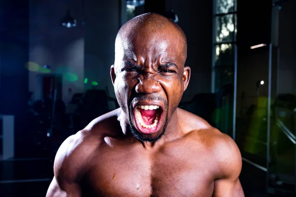 mulatto coach lifting weights over dark background in new gym