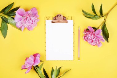 Modern kadınsı ofis resepsiyon masaları boş kopya alanı sayfada pano, pembe şakayık çiçekleri, kalem ve diğer malzemeleri, üstten görünüm, düz yatıyordu, arka plan ile.