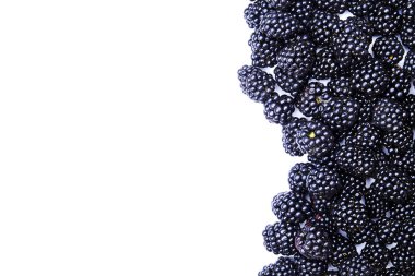 Taze organik ahududu meyveleri beyaz zemin üzerine harvestpile grup. Temiz kavramı yeme. Sağlıklı besleyici Vejeteryan Aperatif, pişmemiş yiyecek. Yakın çekim, kopya alanı, üstten görünüm, düz lay.