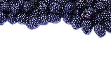 Taze organik ahududu meyveleri beyaz zemin üzerine harvestpile grup. Temiz kavramı yeme. Sağlıklı besleyici Vejeteryan Aperatif, pişmemiş yiyecek. Yakın çekim, kopya alanı, üstten görünüm, düz lay.