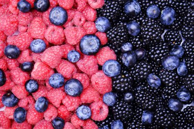 Taze organik çilek karışık: böğürtlen, ahududu ve böğürtlen içinde hasat kazık, beyaz arka plan. Temiz kavramı yeme. Sağlıklı vegan Aperatif, çiğ gıda diyet. Yakın çekim, kopya alanı, üstten görünüm, düz lay