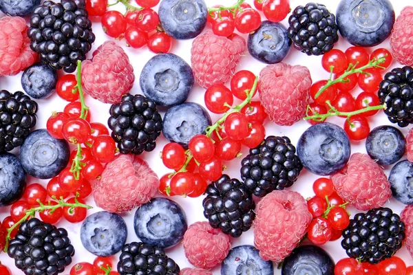 Hasat yığın beyaz zemin üzerine karışık meyveli demet. Taze organik çilek, yaban mersini, böğürtlen ve somun ile renkli kompozisyon. Temiz kavramı yeme. Yakın çekim, uzay, üstten görünüm Kopyala