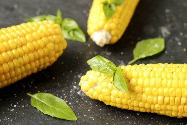 Yeşil fesleğen yaprakları ve karanlık taş masada tuz dekorasyon ile barbekü ateşe ızgara Mısır üç koçanı koydu. Temiz yemek alışkanlıkları kavramı. Arka plan, görünümü top, yakın çekim, yat, alanı Kopyala.