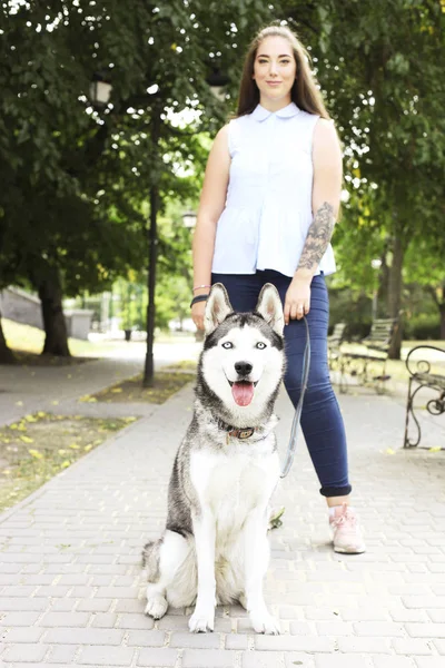 Onun şirin tüylü Sibirya husky köpek şehir sokaklarda yürüyen genç güzel curvy kadın. Erkek kot ve beyaz pamuklu bluz komik hayvan dil yapışkanlık dışarı ile. Arka plan, kopya alanı, yakın çekim