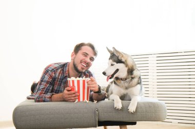 Genç sakallı adam dışarı asılı dışarı ile onun husky köpek. Hippi erkek damalı pazen gömlek ve gri dört bacaklı evde beslenen hayvan arkadaş ile kaliteli zaman geçirmek tişört giyiyor. Yakın çekim, uzay, arka plan kopya