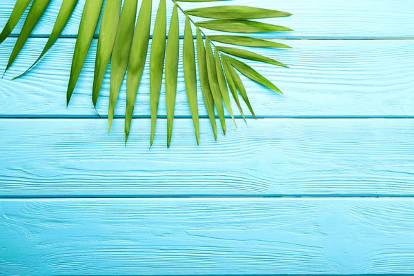 Top view of big green leaf of a exotic parlor palm on blue wooden texture table background with copy space for text. Minimalistic flat lay composition with arge branch of tropical plant. Close up.