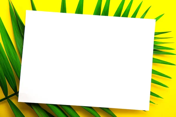 Blank piece of paper on big green leaf of parlor palm bright yellow gradient table background. Empty notebook sheet on branch of tropical plant. Top view, close up, copy space, flat lay.